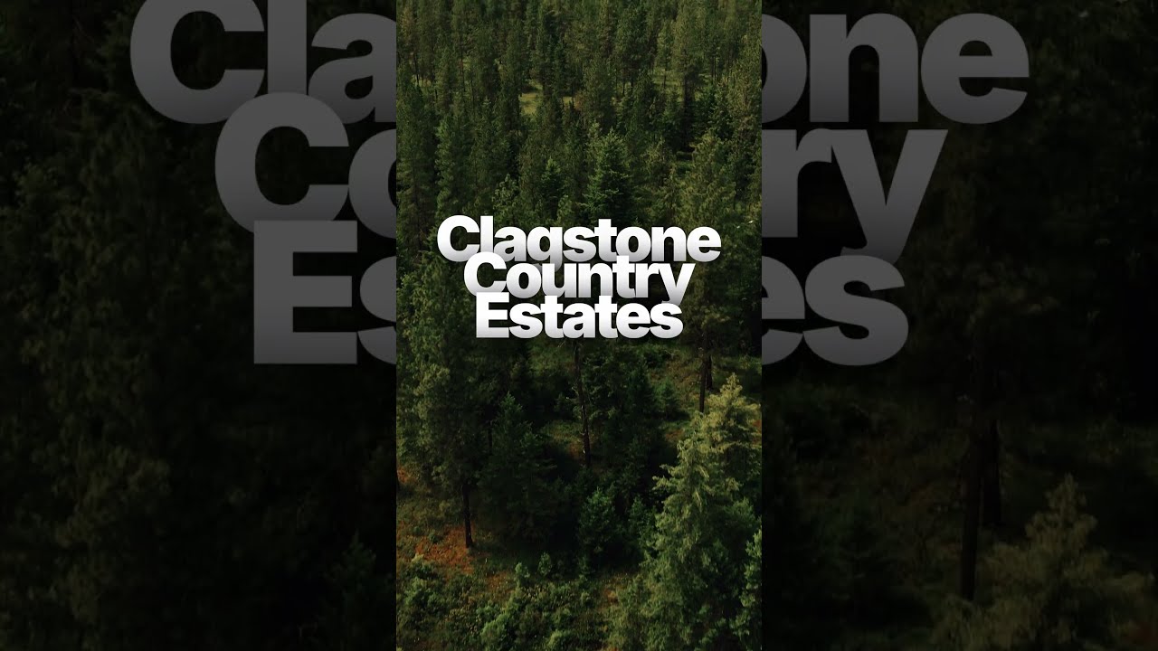 Aerial view straight down onto dense pine forest at Clagstone Country Estates.